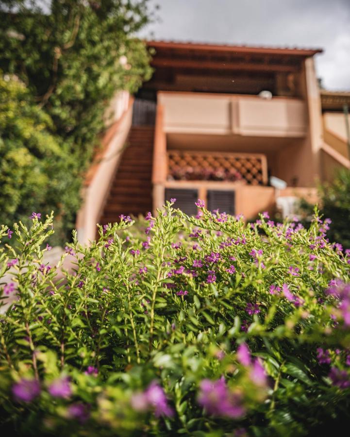 Purple House, 30M To Beach Pula Exterior foto